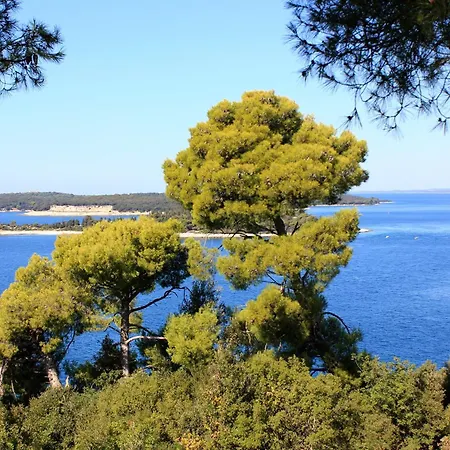 With Wifi Stinjan, Pula - 27943 Stinjan